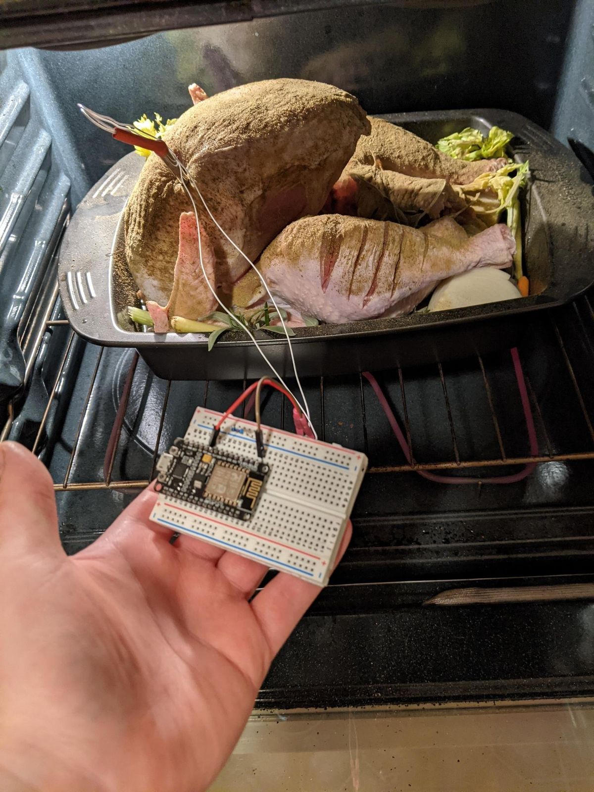 Turkey Probe